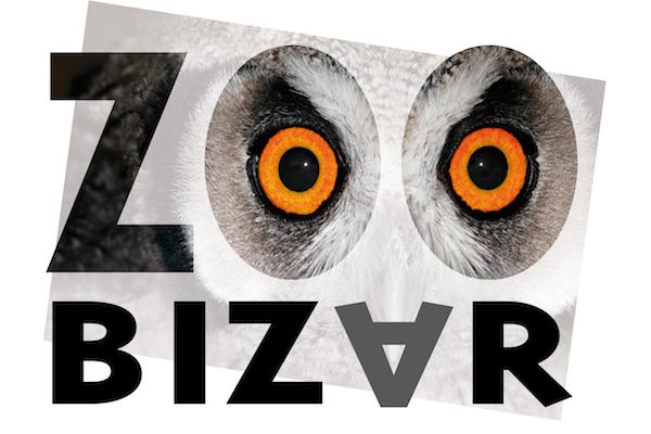 Zoo Bizar: De kleinste Zoo van Nederland