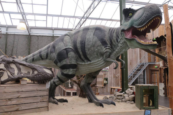 Berkenhof Tropical Zoo: Een T-Rex van dichtbij zien