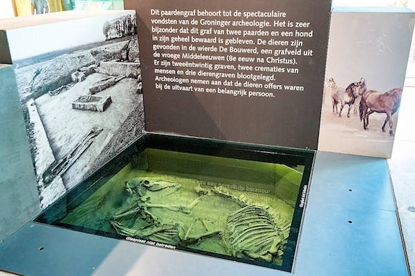 Museum Wierdenland: Spectaculaire vondsten van de Groninger archeologie