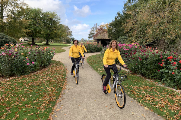 Fietsen langs de bloemenvelden in Lisse: Geniet van een 2,5 uur durende fietstocht