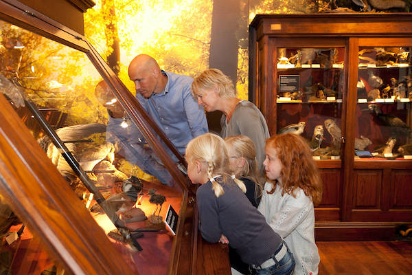 Museum Natura Docet Wonderryck: museum voor de hele familie