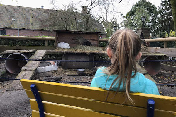 Kinderboerderij Merenwijk: Gezellig naar de konijnen kijken