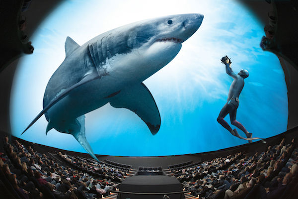 De spectaculaire film Great white shark