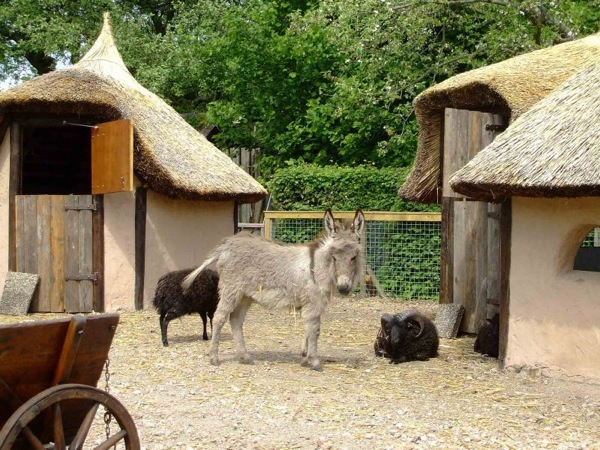 Park Oikos: De geiten en ezels blijven gespaard door de draken