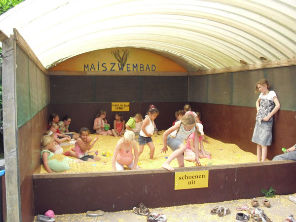 Maisdoolhof Voorthuizen: Baantjes trekken in een mais zwembad