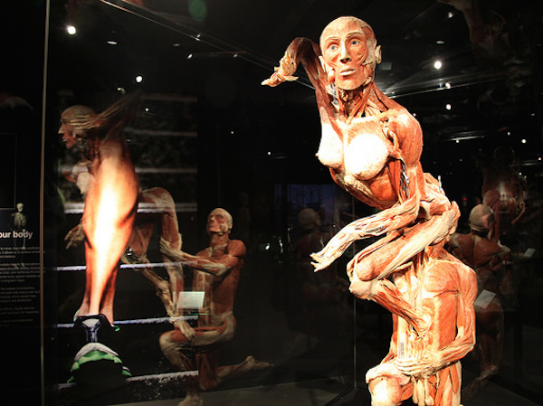 Body Worlds: The Happiness Project: Happiness Project man en vrouw dansen