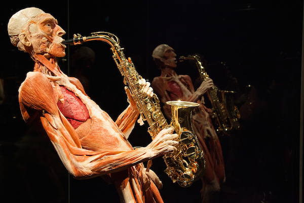 Body Worlds: The Happiness Project: Happiness Project saxofoon spelen