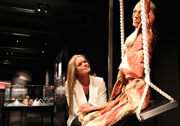 Body Worlds: The Happiness Project: Happiness Project schommel