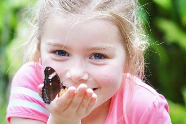 Vlindorado: Meisje met vlinder