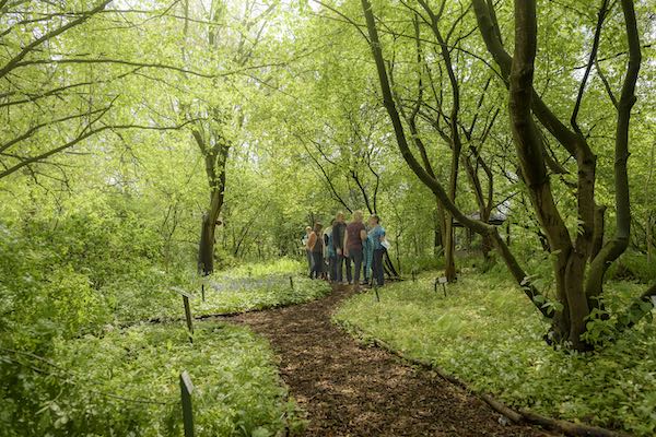 De Kruidhof hortus van Fryslân: Wandelpaadje door bos