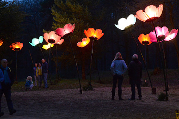 Kilometers lichtjes leiden je door het park 