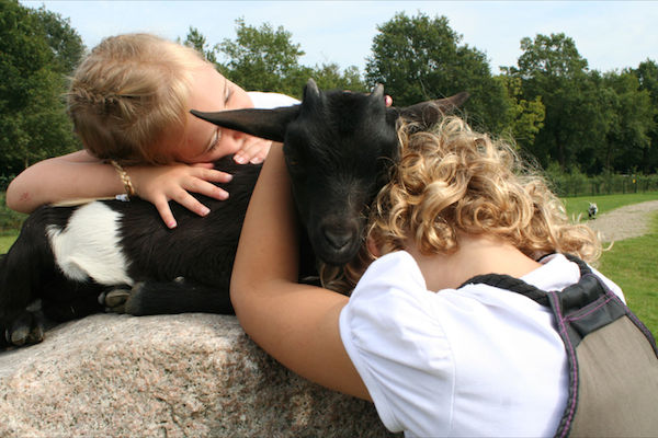 Top 10 uitjes in Elsloo en omgeving