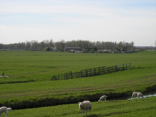 De Merenburger: Omgeving vanaf het water