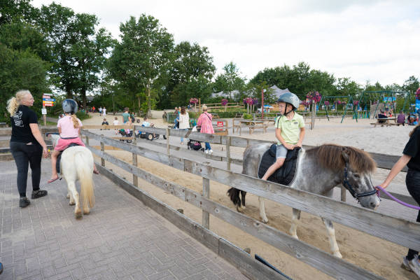 Kinderen rijden op pony's