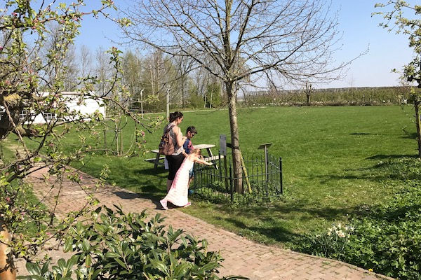 Appels plukken Olmenhorst: Kom alles te weten over de bomen