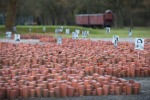 Afbeelding van Kamp Westerbork