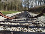 Afbeelding van Kamp Westerbork