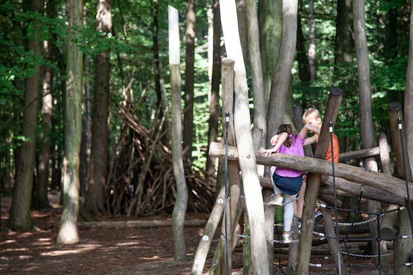 Spelende kinderen in het bos