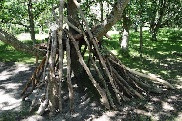 Bouw prachtige hutten in het bos