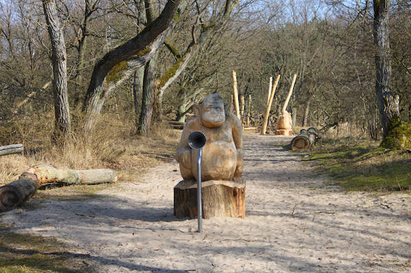 Lekker wandelen in het bos