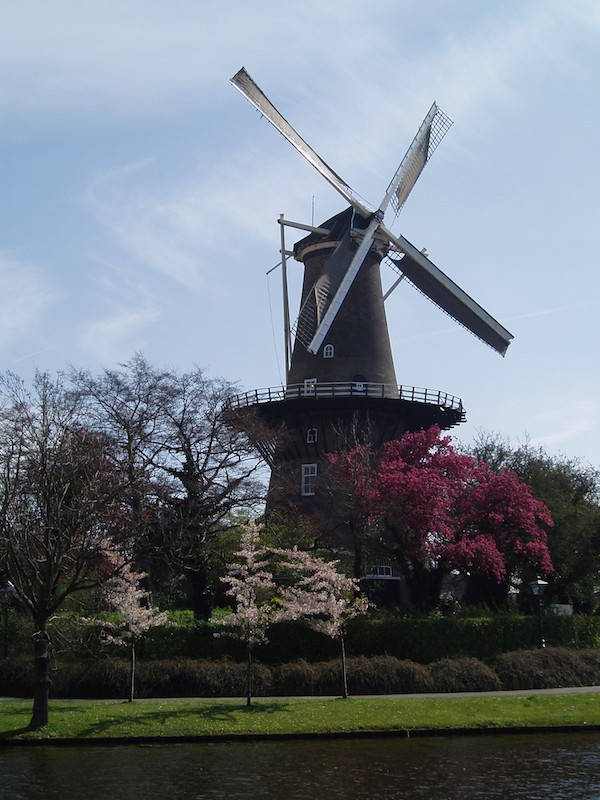 Prachtig overzicht in de lente