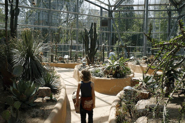 Hortus Botanicus Amsterdam: Desert house