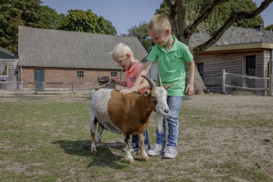 Kindjes aaien geitjes