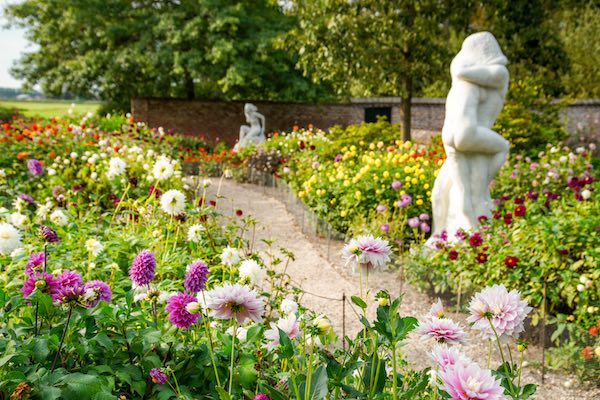 Loop door de mooie tuin in de lente en bewonder alle mooie bloemen om je heen