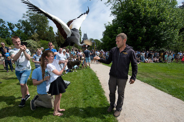 Landgoed Kasteel Keukenhof: Geniet van een spectaculaire roofvogelshow