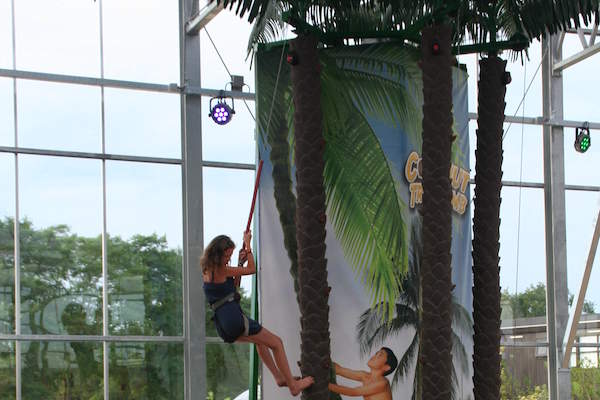 Palmboom klimmen