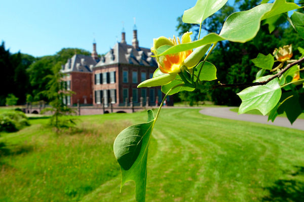 Een groene oase