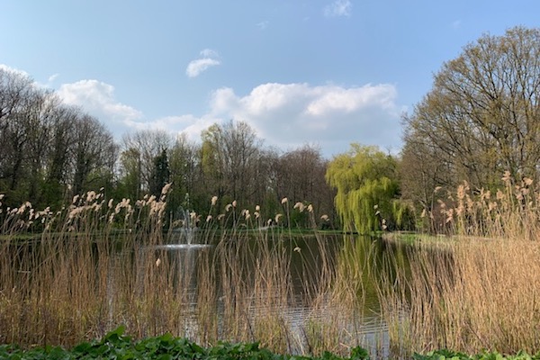Geniet van de natuur in stadspark Leidse Hout