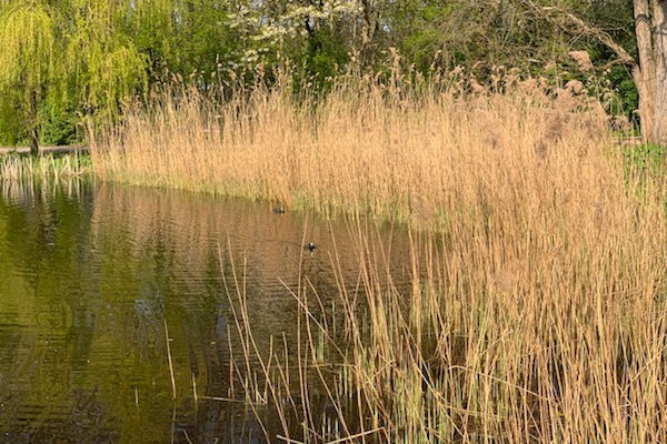 Ontspannen in een stukje pure natuur