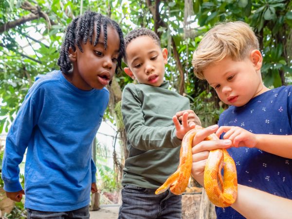 Almere Jungle in Almere 