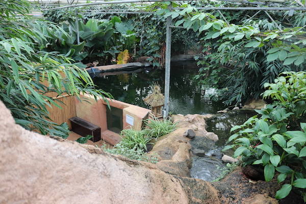 Tropisch regenwoud met vijvers, watervallen en weelderige beplanting