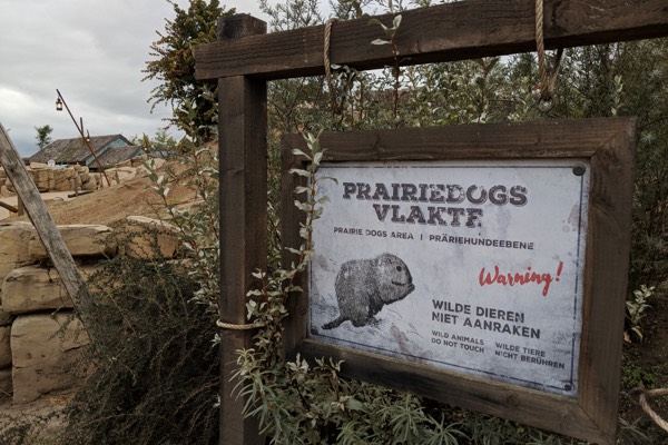 Prairiedogs vlakte