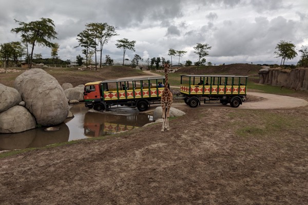 Ga mee in de oude truck voor een avontuurlijke safaritocht