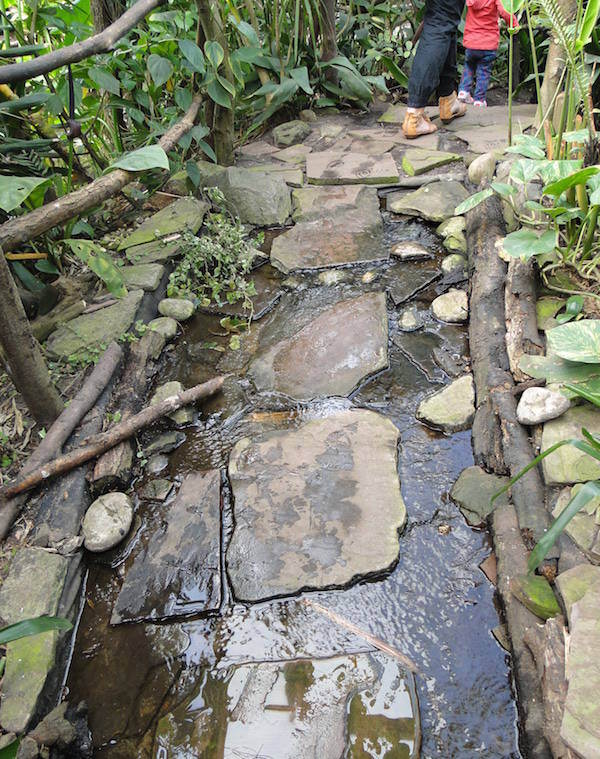 Loop over stenen door het water