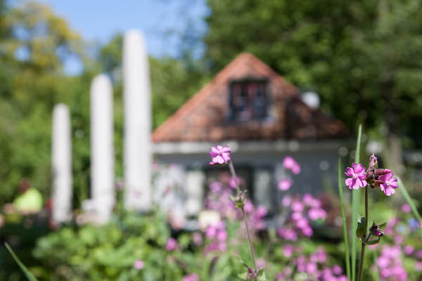 Theehuis Jansland: Midden in de natuur