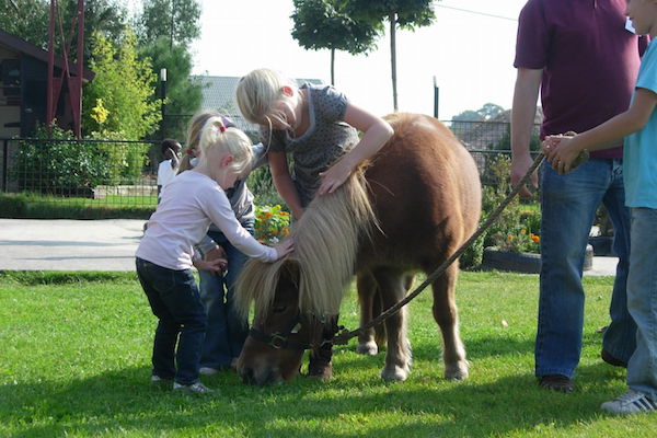 Recreatiepark Pukkemuk: Knuffelen op de Kinderboerderij