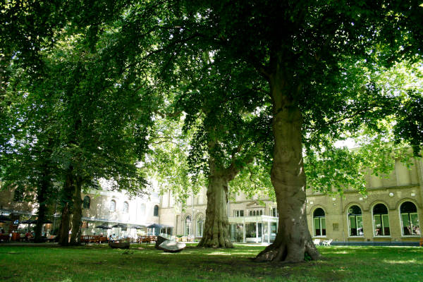 Dordrechts Museum: De museumtuin