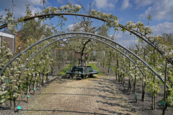 Zeeuws Fruit Museum in Kapelle