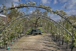 Afbeelding van Zeeuws Fruit Museum