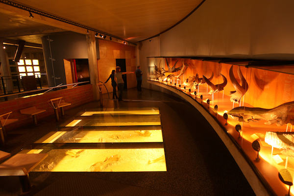 Het eerste ondergrondse museum ter wereld
