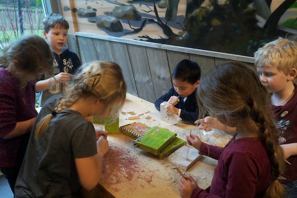 Graaf je eigen dino op met flink precisie werk in Dinoland Zwolle