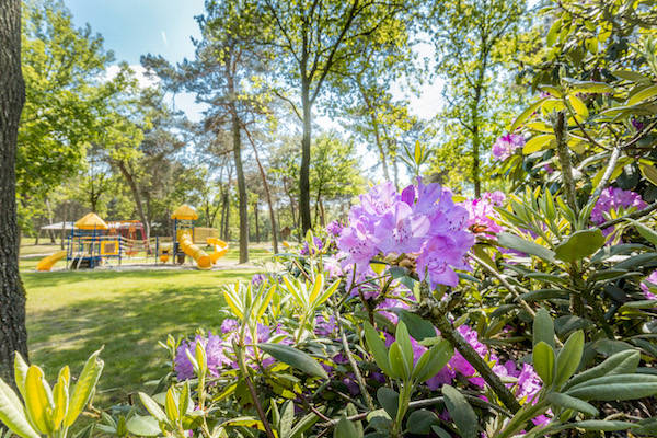 Kom lekker spelen in de buitenspeeltuin