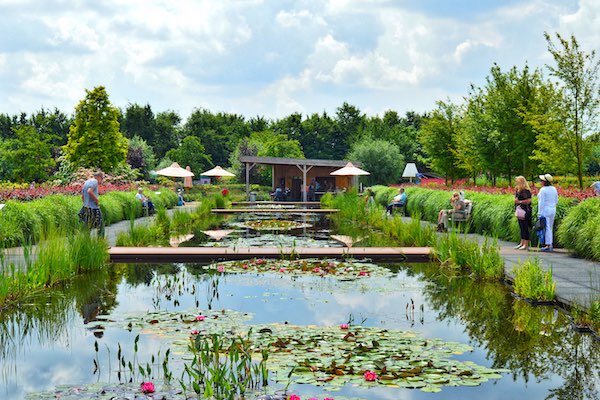 Bloemenpark Appeltern: Waterlelies