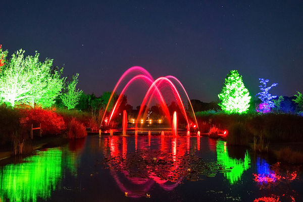 Mystery Gardens in Lights