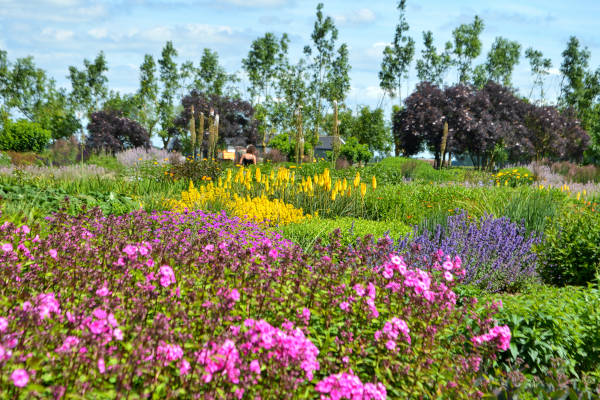 Prachtige bloemen in de tuinen