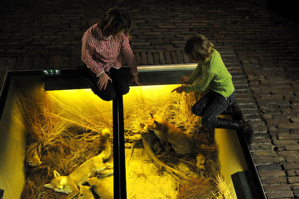  Museum Klok & Peel: Natuur- en cultuurhistorie van De Peel